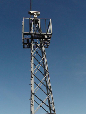 �O(ji��n)����