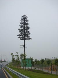 ����ͨ����