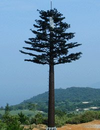 ����ͨ����